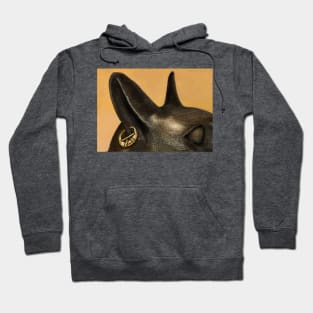 Cat ear Hoodie